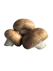 פטריות חומות