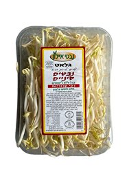 נבטים סיניים