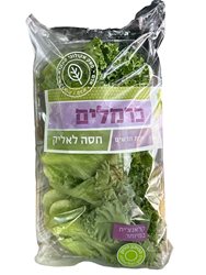 חסה לאליק