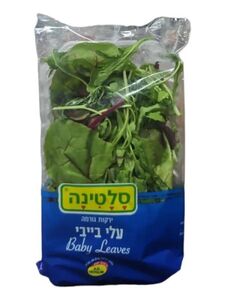 עלי בייבי
