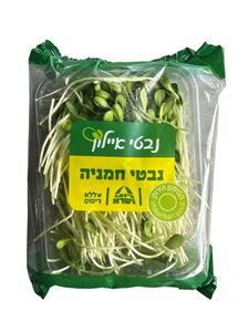 נבטי חמניה