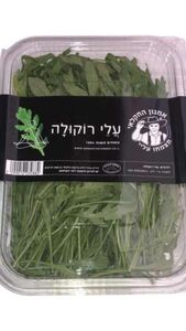 עלי רוקולה