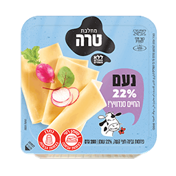 גבינה צהובה 22% 200 גרם טרה