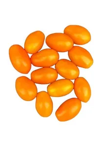 עגבניות שרי כתום 1"ג